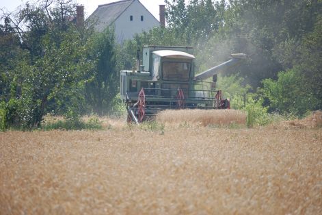 dsc_3762.jpg dsc_3762.jpg