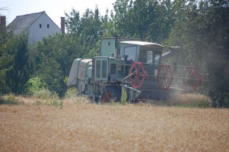 dsc_3764.jpg dsc_3764.jpg