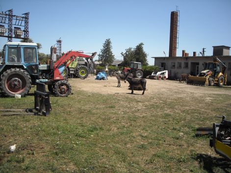 dscn0890.jpg dscn0890.jpg