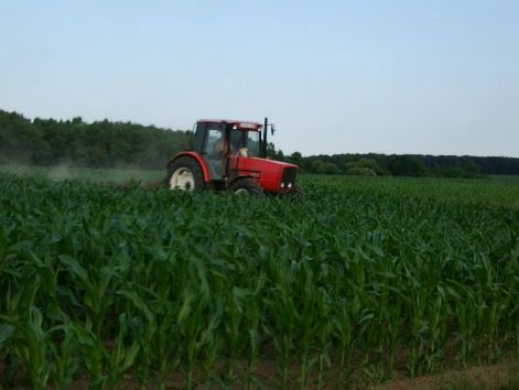 fenykep0187.jpg fenykep0187.jpg