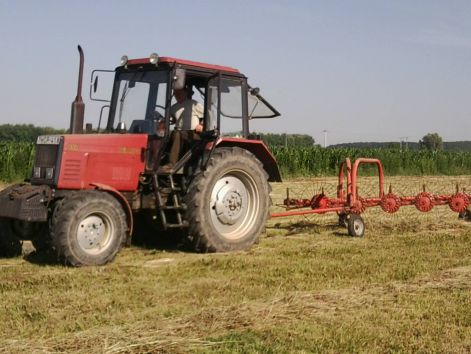 fenykep0215.jpg fenykep0215.jpg