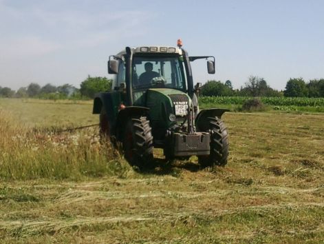 fenykep0219.jpg fenykep0219.jpg