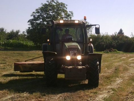 fenykep0220.jpg fenykep0220.jpg