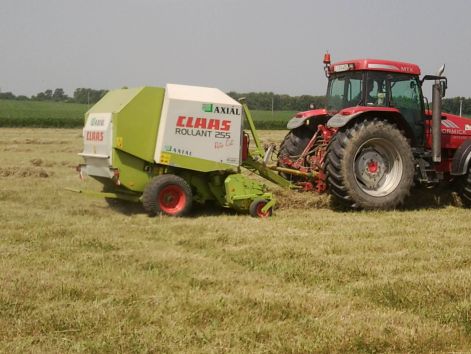 fenykep0224.jpg fenykep0224.jpg