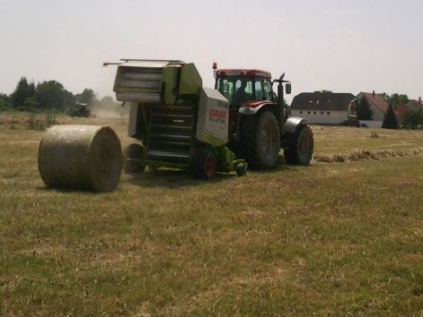 fenykep0227.jpg fenykep0227.jpg