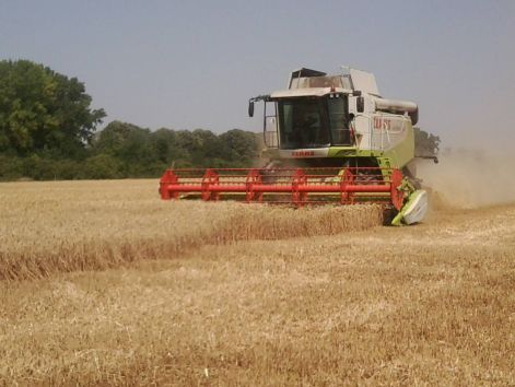 fenykep0238.jpg fenykep0238.jpg