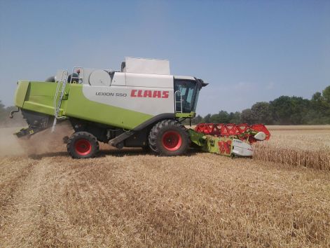 fenykep0239.jpg fenykep0239.jpg