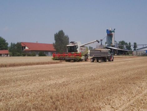 fenykep0253.jpg fenykep0253.jpg